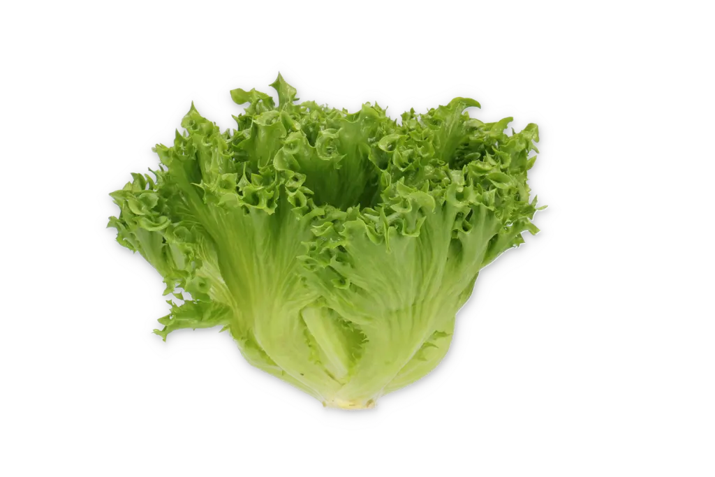 Бодилик