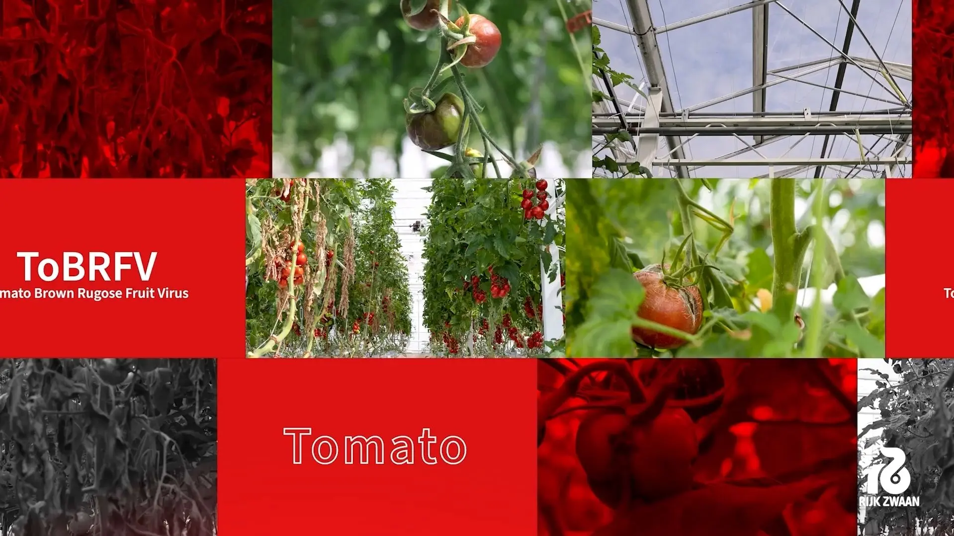 здесь должно быть видео. временно поставил фото для целостности страницы