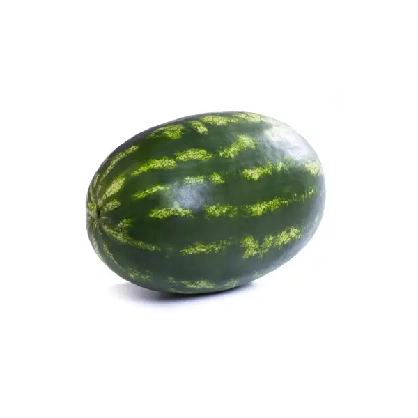 Морган F1